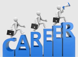 Career & Courses image